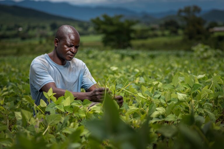 How the African Sustainability Lab is Revolutionizing Food Systems