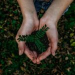 Prototyping for Sustainability: Lessons from the Lab