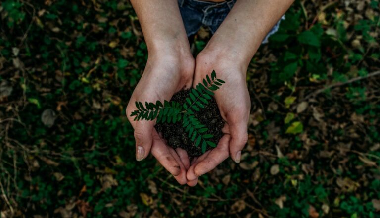 Prototyping for Sustainability: Lessons from the Lab