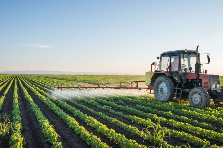Circular Economy or Circular Hype? What Africa’s Food Systems Really Need